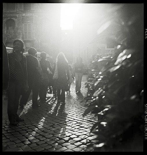 S. Maria in Trastevere